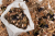 12.png